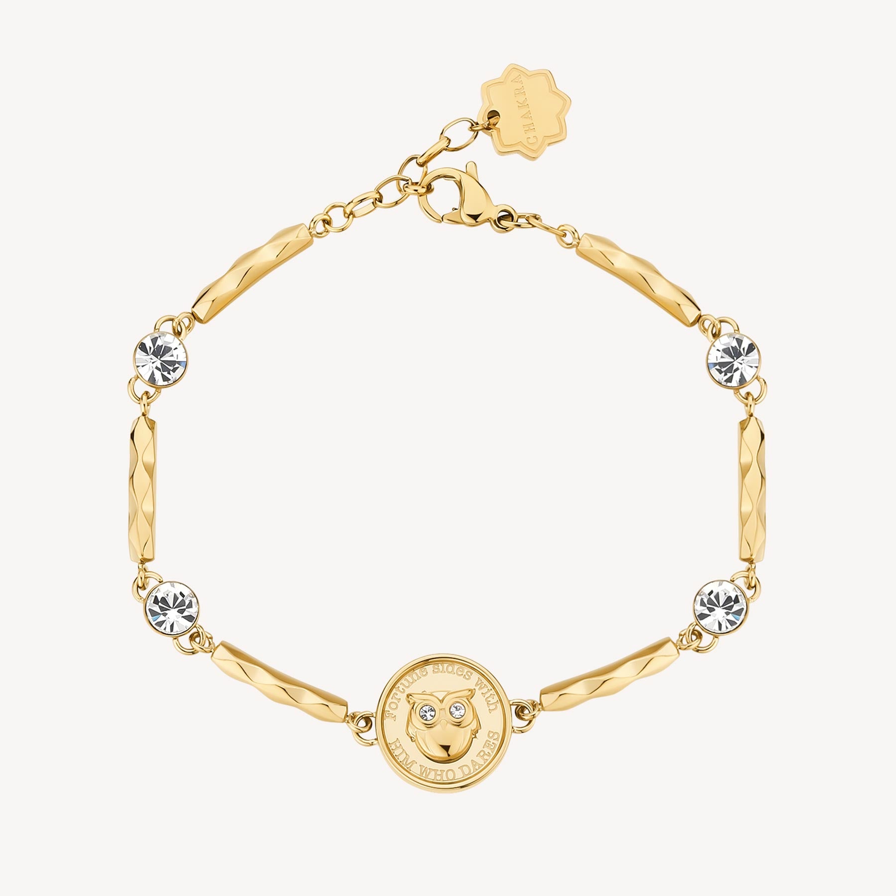 Brosway Bracciale CHAKRA PORTAFORTUNA - CHAKRA - Acciaio