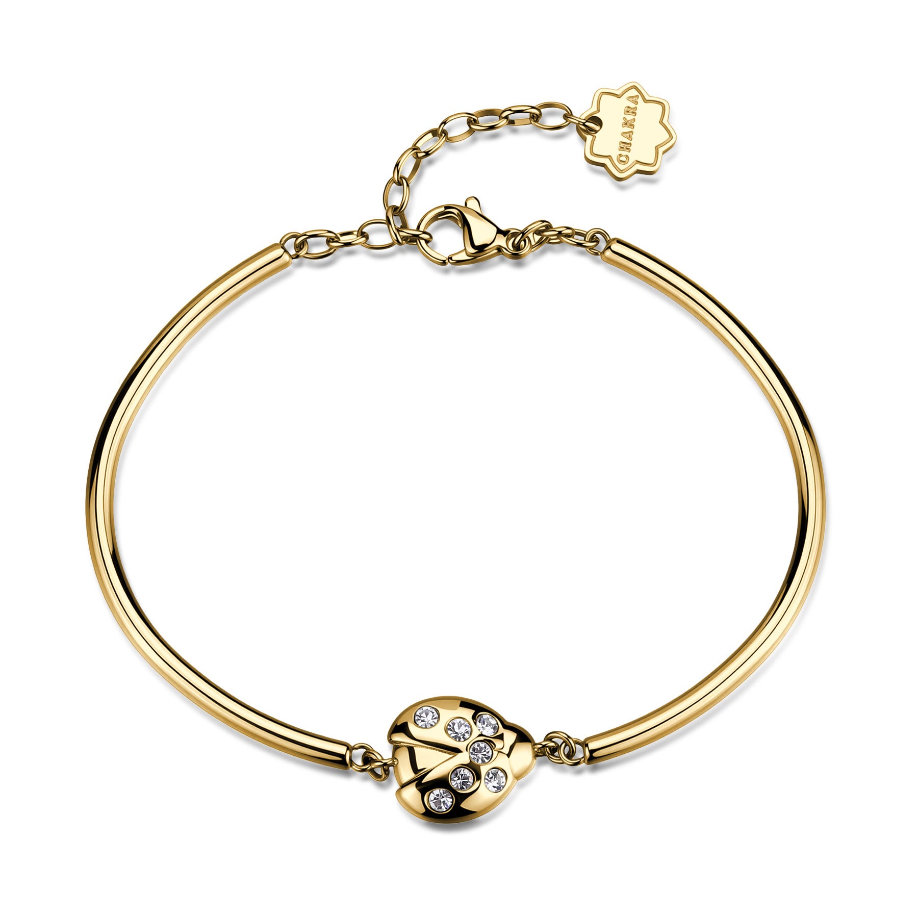 Brosway Bracciale CHAKRA FORTUNA - Vista 3