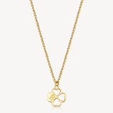 Brosway Collana CHAKRA PORTAFORTUNA - Vista 2