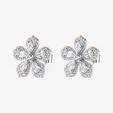 Brosway Orecchini FANCY - FANCY - argento